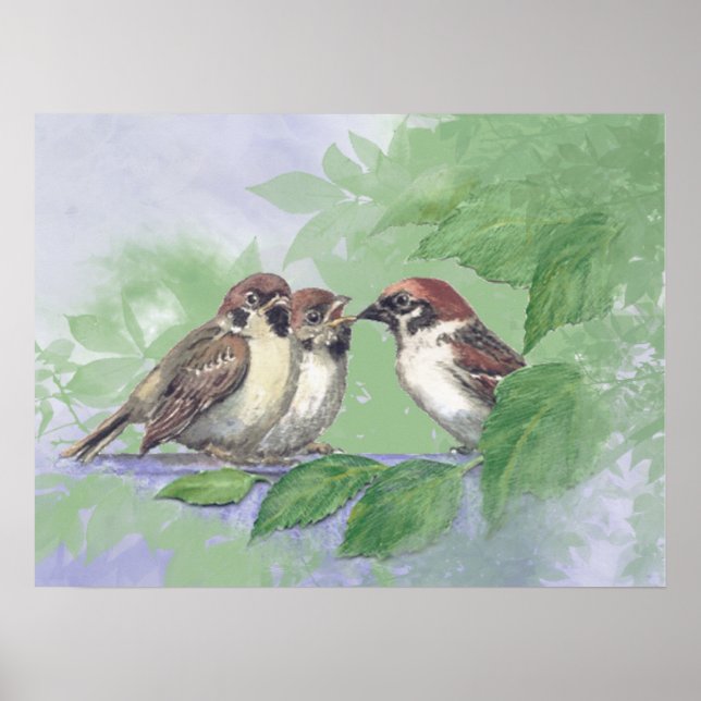 Poster Watercolor Mother Sparrow Feeding Chicks (Devant)
