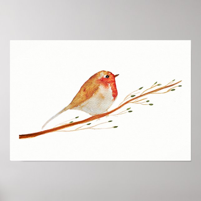 Poster Watercolor Robin Bird (Devant)
