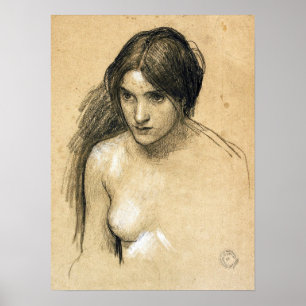 Poster Waterhouse - Hylas Et Les Nymphes (Étude)