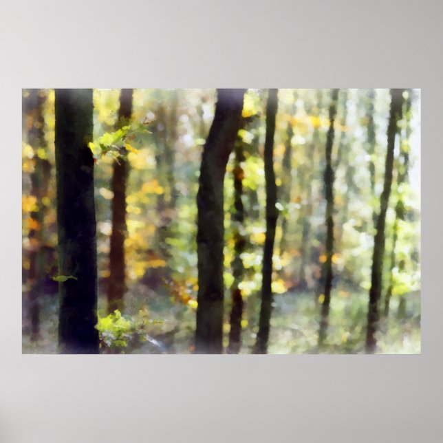 Poster Watery Woods (Devant)