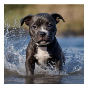 Poster "Wave Chaser : Un chiot robuste en jeu dans l'océa