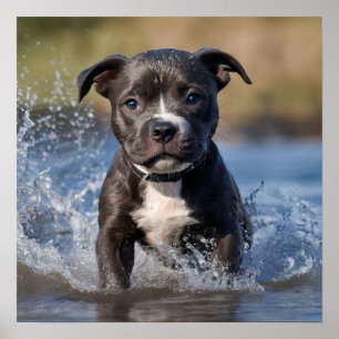 Poster "Wave Chaser : Un chiot robuste en jeu dans l'océa