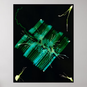 Poster WDV - 059 - Recherche