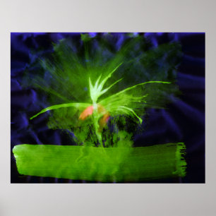 Poster WDV - 068 - Fleur