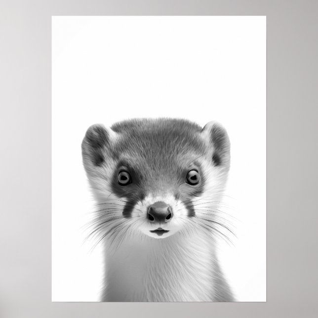 Poster Weasel Woodland moderne Portrait noir blanc (Devant)