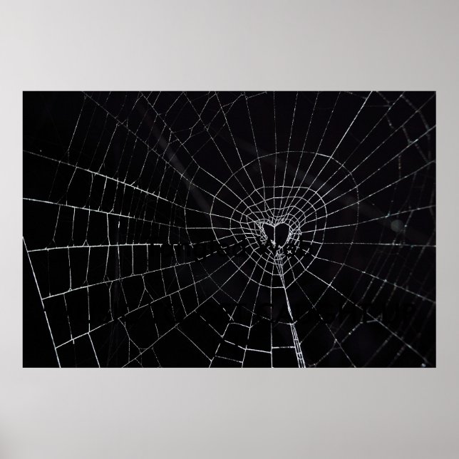 Poster Web en bande (Devant)