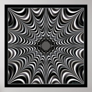 Poster Web Space Spider