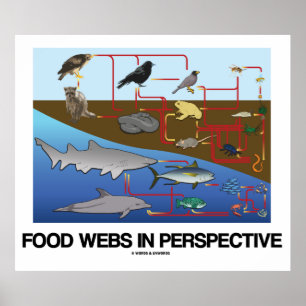Poster Webs Alimentaires En Perspective (Océan / Biologie