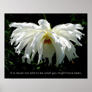 Poster Weeping White Dahlia, citation inspirante