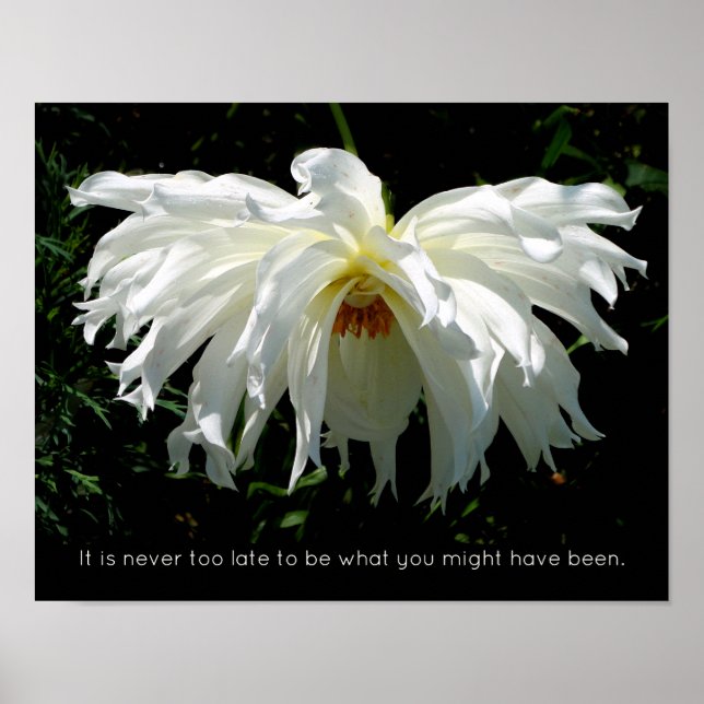 Poster Weeping White Dahlia, citation inspirante (Devant)