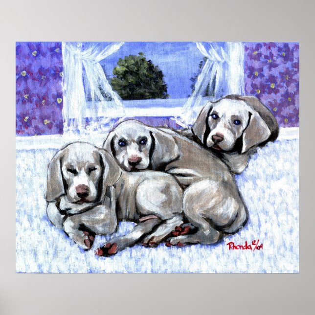 Poster Weimaraner Chien Chien Portrait (Devant)