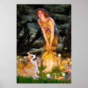 Poster Welsh Corgi Pembroke - Mideve
