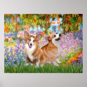 Poster Welsh Corgis (deux Ppembroke) - Jardin à Giverney