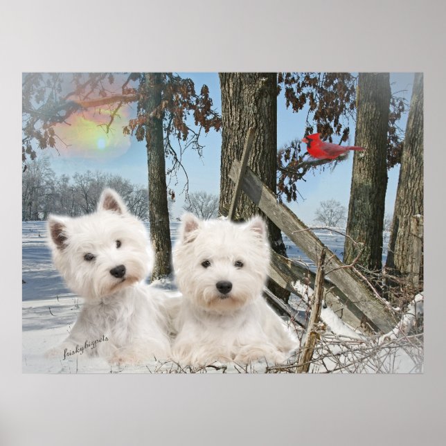 Poster West Highland Terrier journée d'hiver (Devant)