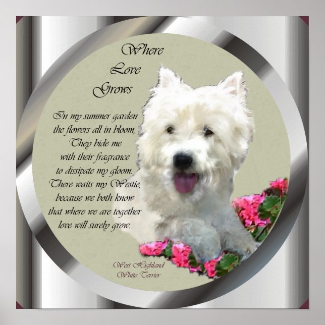 Poster West Highland White Terrier Art Imprimer (Devant)
