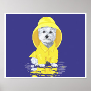 Poster West Highland White Terrier Avril Douches
