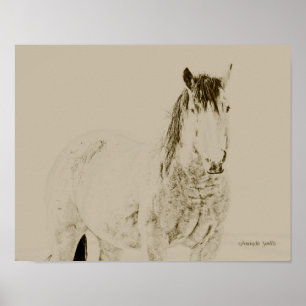 Poster western art horse print, rétro, cadeau vintage 11x