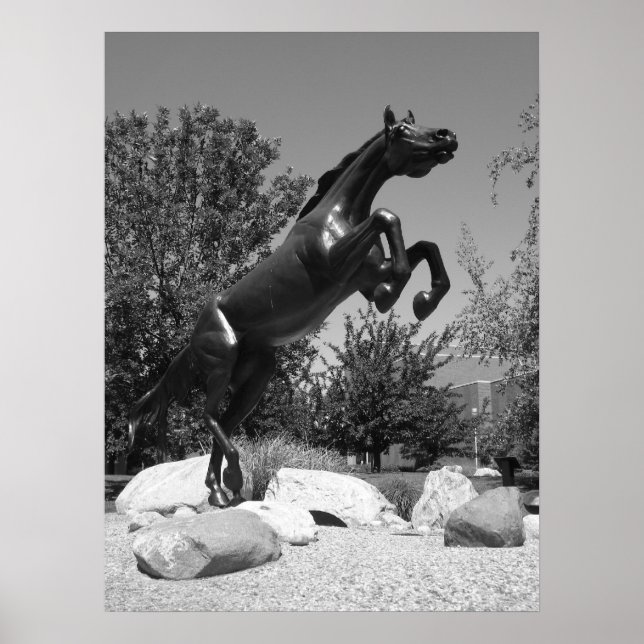 Poster Western Michigan University, Kalamazoo, MI (Devant)