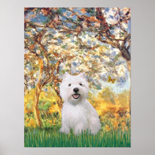 Poster Westie 2 - Printemps