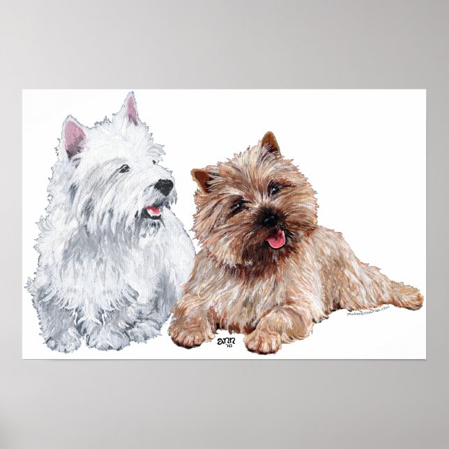 Poster Westie avec un Cairn Terrier Brown (Devant)