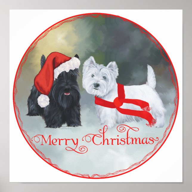 Poster Westie Scottie Christmas (Devant)