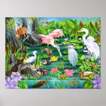 Wetland Wonders