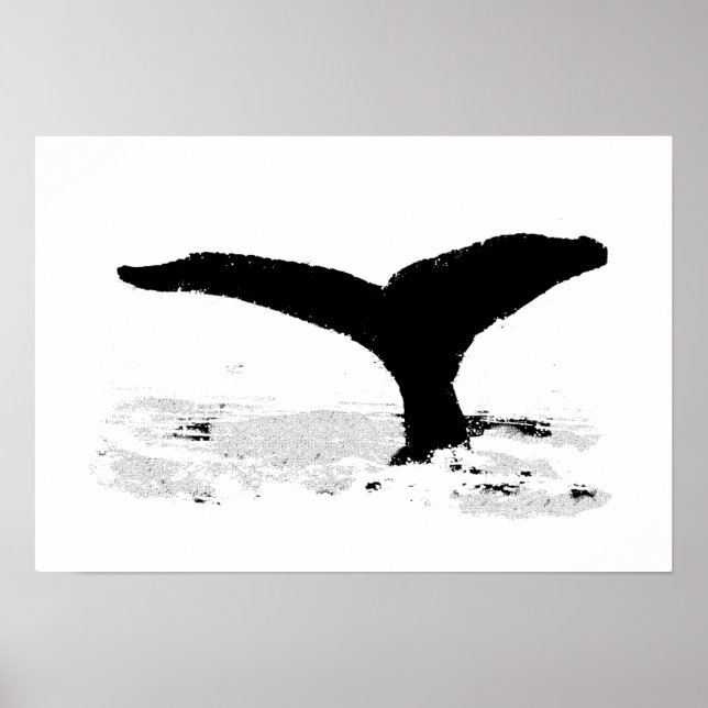 Poster Whale decorative (Devant)
