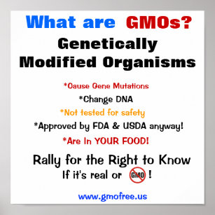 Poster - What Are GMOs?