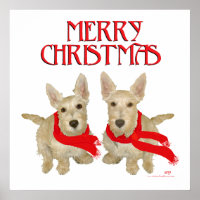 Wheaten Scottish Terrier Noël
