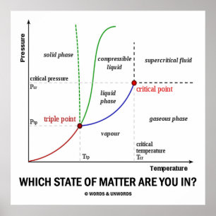 Poster Which State Of Matter Are You In? (Chemistry)