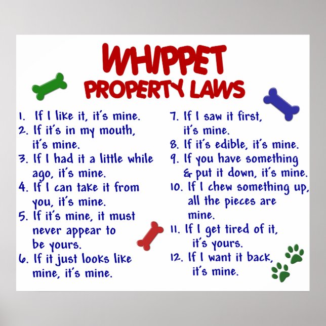 POSTER WHIPPET PL2 (Devant)