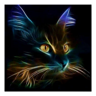 Poster Whiskers