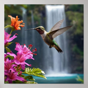 Poster "Whispers of Nature : Hummingbird, Cascade