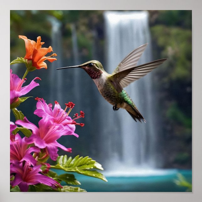 Poster "Whispers of Nature : Hummingbird, Cascade (Devant)