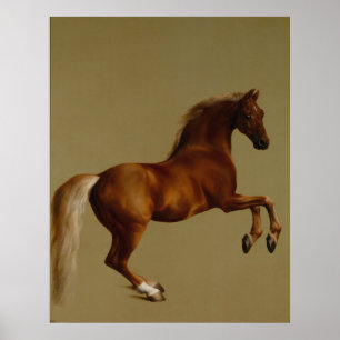 Poster Whistlejacket Race Horse par George Stubbs