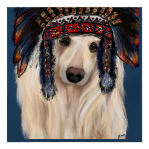 Poster White Afghan Hound