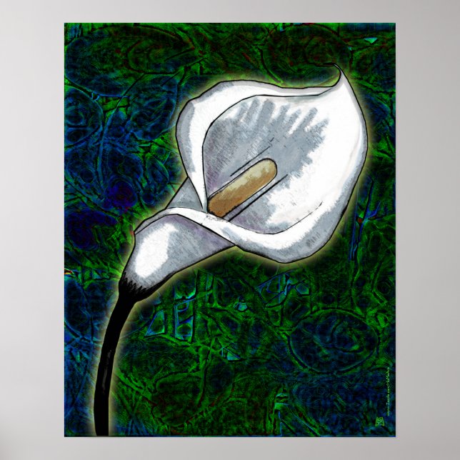 Poster White Calla Lily (Poster Semi-Gloss) (Devant)