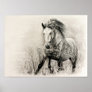 Poster White horse in charcoal