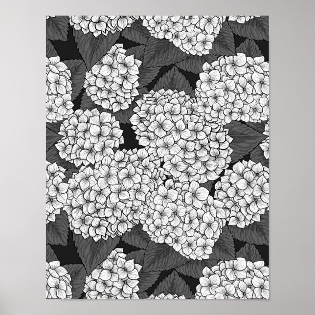 Poster White hydrangea (Devant)