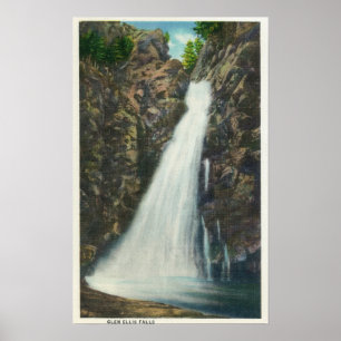 Poster White Mountains Nat'l Forest