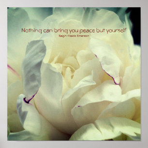 Poster White Peony Inner Peace Inspiration