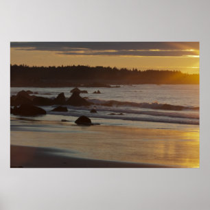 Poster White Point Summer Sunrise