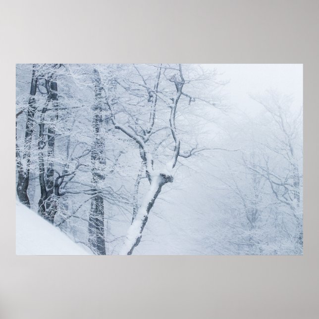 Poster Whiteout (Devant)