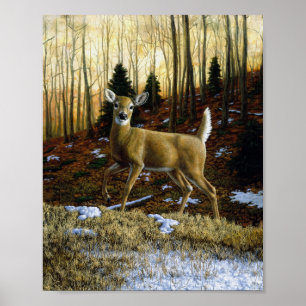 Poster Whitetail Deer Doe dans la forêt d'automne