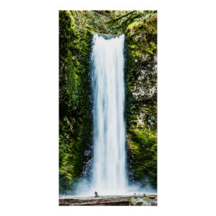Poster Wiesendanger Falls Painting