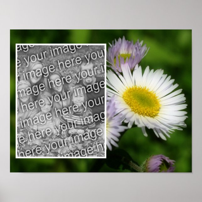 Poster Wild Fleabane Daisy Cadre Fleur Ajouter Votre Phot (Devant)