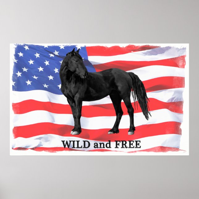 Poster Wild & Free American Wild Horse (Devant)