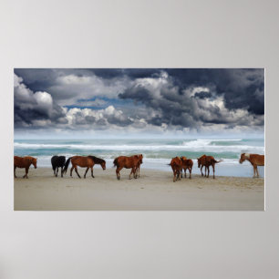 Poster Wild Horses Outer Banks Corolla NC