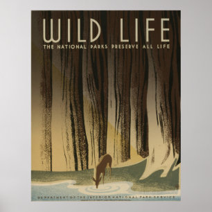 Poster Wild Life Vintage WPA