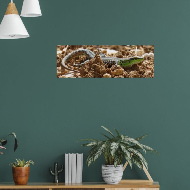 Poster Wild Lizard Nature Photographie Rustique (Salon 1)